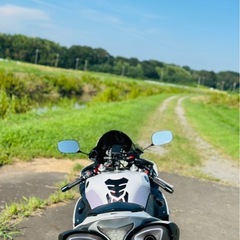 YZF R1 2009 逆車　18000キロの画像