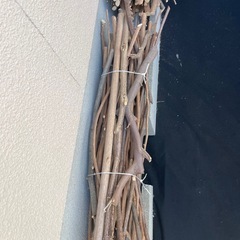 0円　　薪、小枝、幹の画像