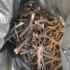 0円　　薪、小枝、幹の画像