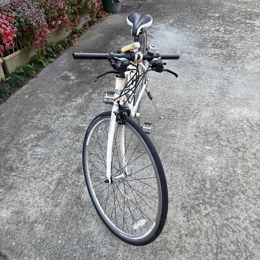 ルイガノ自転車