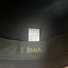 CA4LAのHATの画像