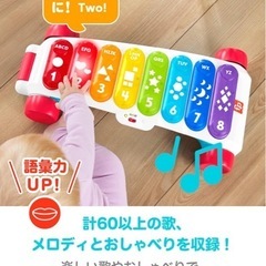 バイリンガル鍵盤の画像