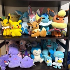 取引中‼️ポケモンぬいぐるみ の画像