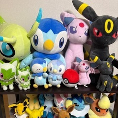 取引中‼️ポケモンぬいぐるみ の画像