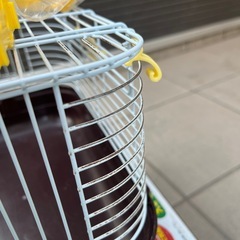 ハムスターゲージの画像