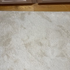 as you… 白 アイボリー ラグ 190×290cm 絨毯じゅうたん
大判 ふわふわの画像