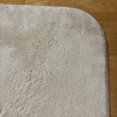 as you… 白 アイボリー ラグ 190×290cm 絨毯じゅうたん
大判 ふわふわの画像