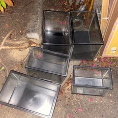 小さめ水槽（１月３１日以降廃棄）の画像