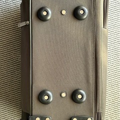 小型キャリーバッグの画像