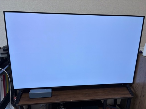 焼き付きなし・美品】LG 有機ELテレビ 55インチ（OLED55A1PJA）2022年製
