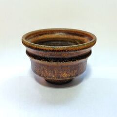 【陶器鉢】塊根植物 / 多肉植物 / 盆栽・直径10cmの画像