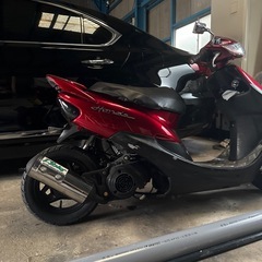 ライブディオaf34の画像