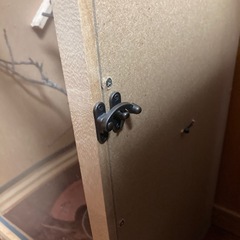 自作爬虫類ケージの画像