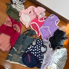 10点　プードル　服　犬服　ペット　可愛いSS  春夏の画像