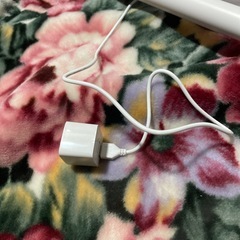 中古品 コードレススティッククリーナー T-PROFESSIONAL 掃除機 動作確認済み の画像