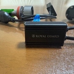 フォグランプ　グリーン　H16の画像