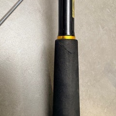 ラテオ93m-rの画像