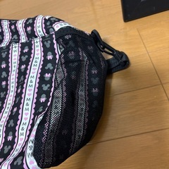 ミッキー、ミニーボストンバック旅行などにの画像