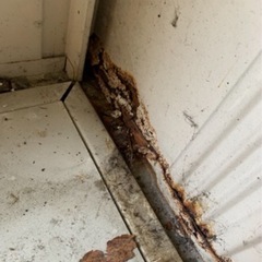 大型イナバ物置の画像