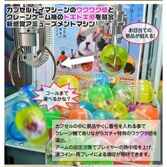 ガチャゲッツ30 クレーンゲームの画像