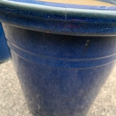 🌹高級　植木鉢🪴の画像