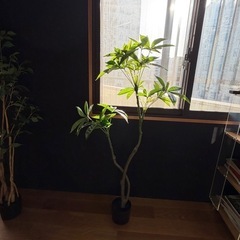観葉植物 フェイクグリーン5個セットの画像