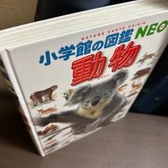 図鑑　小学館　　　　　　　動物　　の画像