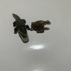 アゴのフィギュアの画像