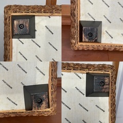 PERFORMAX ウォーターヒヤシンス　クラスティーナの画像