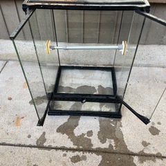 グラステラリウム3045 爬虫類の画像