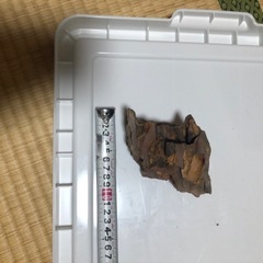 ADA黄虎石④の画像