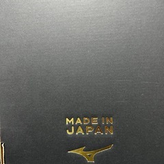 モレリア　サラ　の画像