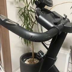 エアロバイク、フィットネスバイクの画像