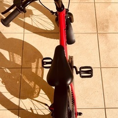 [中古美品おまけ付き] 子供用自転車 14インチ  アイゼル Eizer RAVI 　の画像