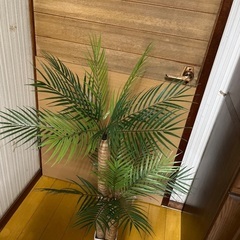 フェイクグリーン　ヤシの木の画像