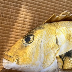 大きい魚ぬいぐるみの画像