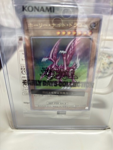 ポケカ　ホーリーナイトドラゴン　し