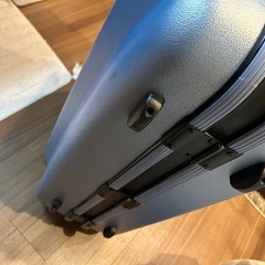 キャリーバックの画像