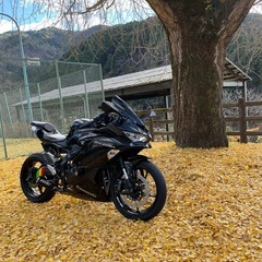 カワサキ　ZX25Rの画像