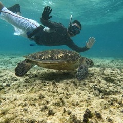 海遊び（スキンダイビング、シュノーケリング、SUP）メンバー募集...