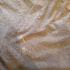 【無料、ジャンク品】羽毛ふとん　ノーブランド　シングルの画像