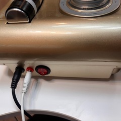 【業務用】エレクトロポレーションの画像