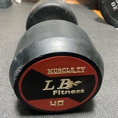 LBGYMダンベル40kg単品の画像