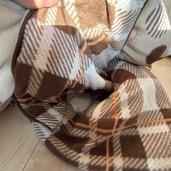 ニトリのこたつ布団両面タイプの画像