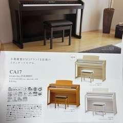 KAWAI 電子ピアノ CA17LOの画像