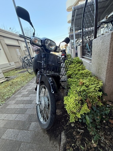 ホンダスーパーカブ 50