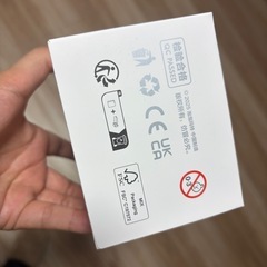 【取引者決定】早い者勝ち！公式より安！100%正規品ラブブlabubu THE MONSTERS Big into energy  ぬいぐるみシリーズの画像