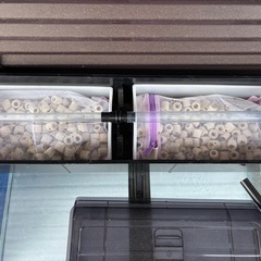 90センチ水槽の画像