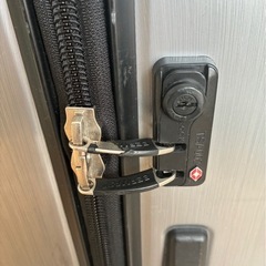 大型キャリーバッグの画像