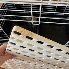 小動物　　　　ゲージ　の画像